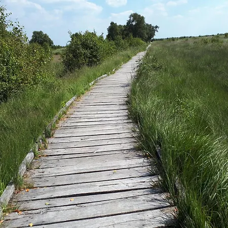 Exclusive Rollstuhlgerechte 
